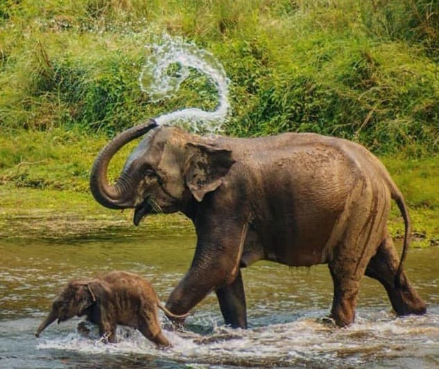 Discover the Best of Nepal: Golden Triangle Tour You Can’t Miss