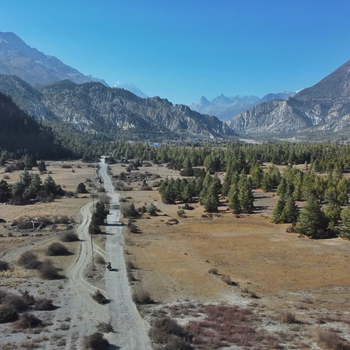 Manang