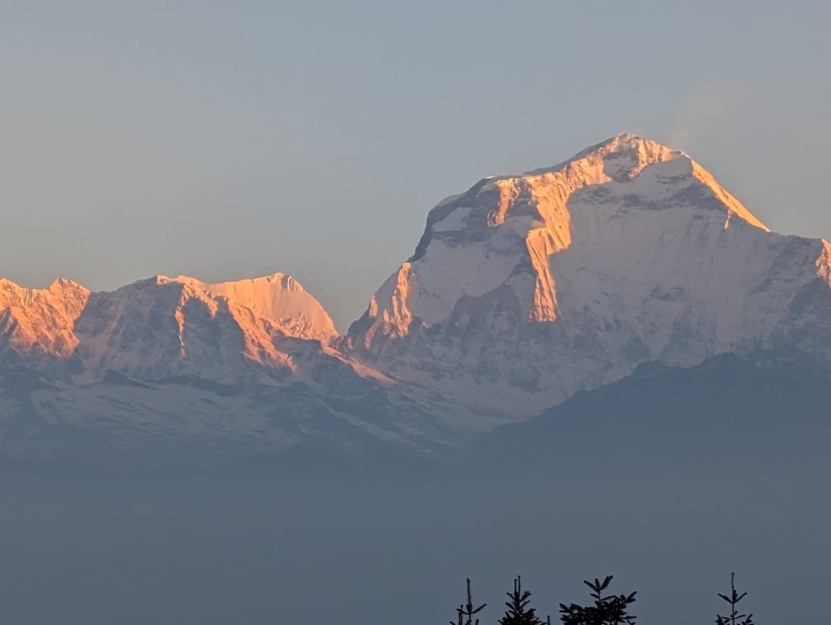 118a84e9 E53d 4ad2 Baee 2f80fdc319ea