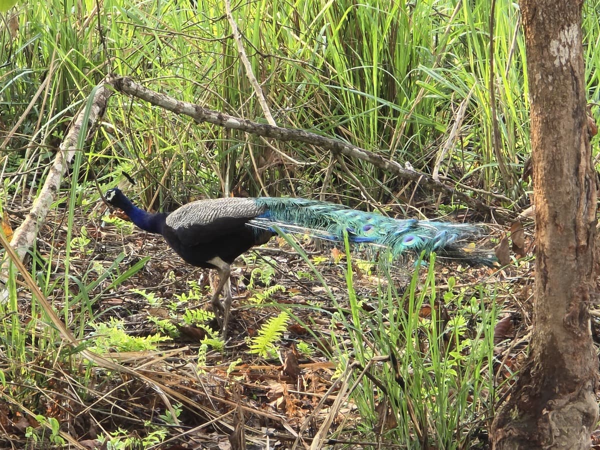 B7e4dd68 4181 4e06 A4d5 E3e8abb55022