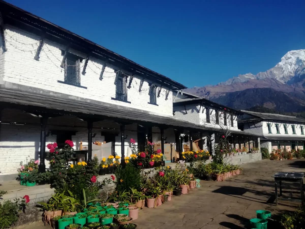 Ghandruk tre