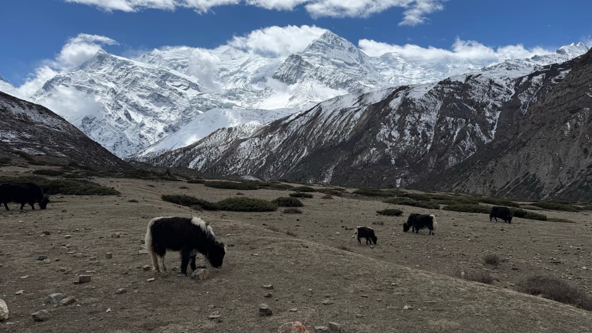 Annapurna circuit