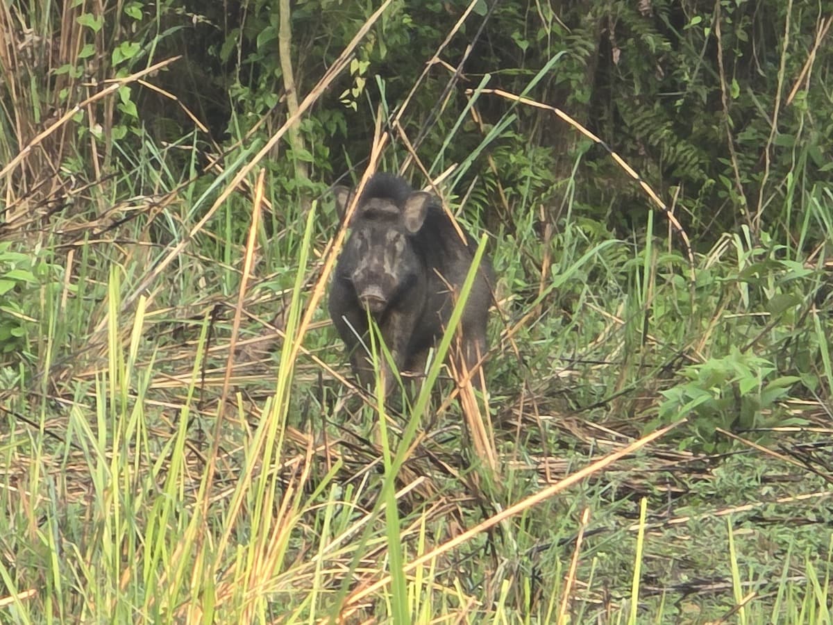 51324cdf Fd28 4d3a B7a5 225bda1fc652