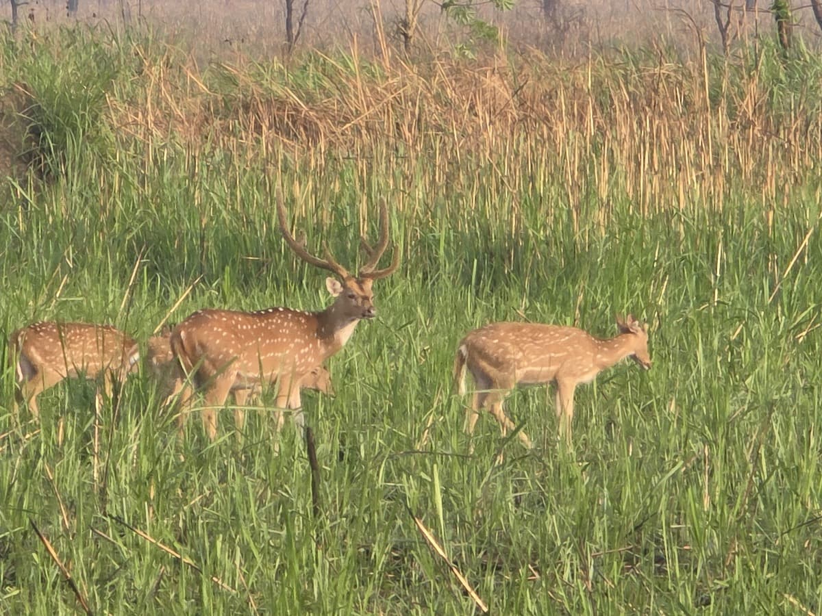 918d6c6d C99b 4ba6 A702 Eb2a129edb63