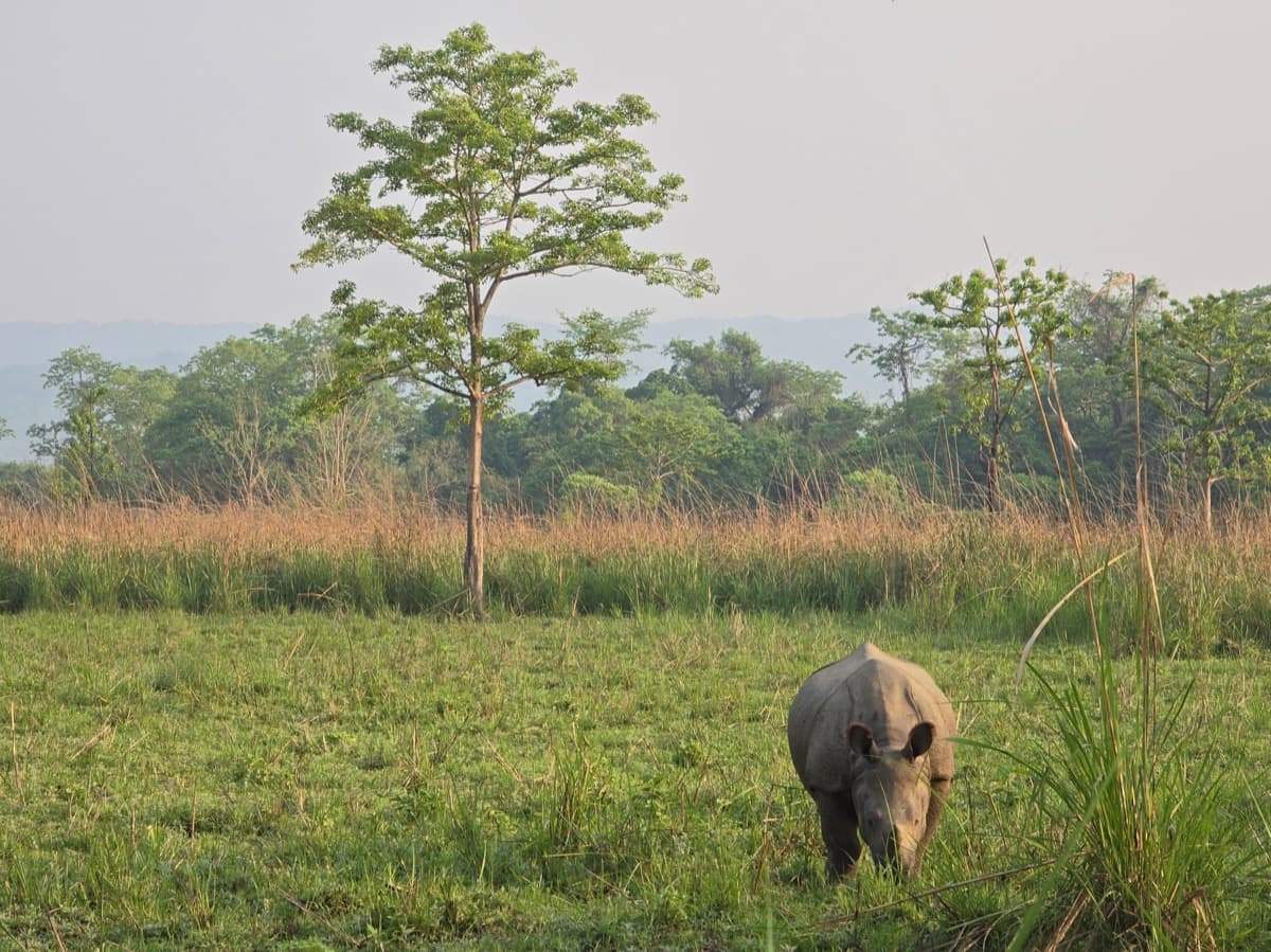 96b288f2 333e 4e89 8b08 948212bf35fe