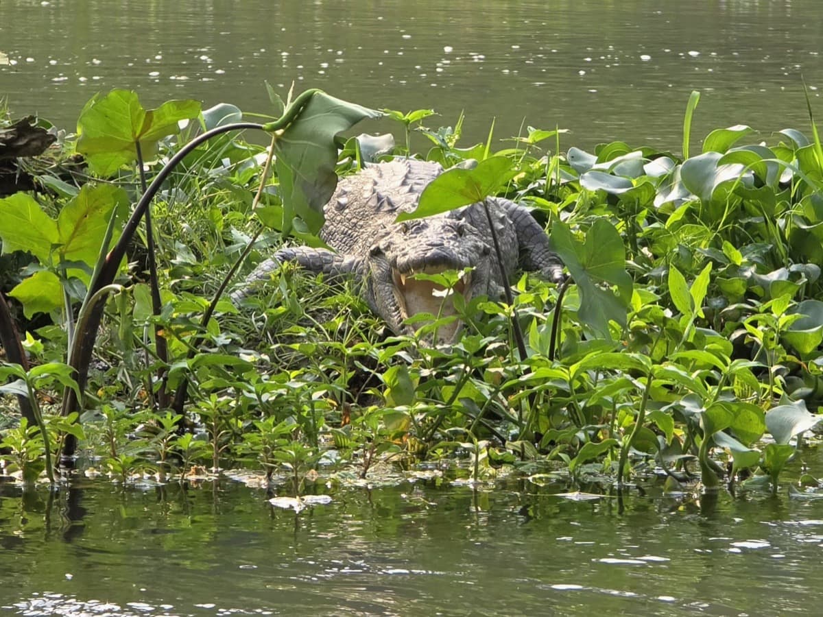 F674bd3b E964 4605 9f57 531434b8cee0