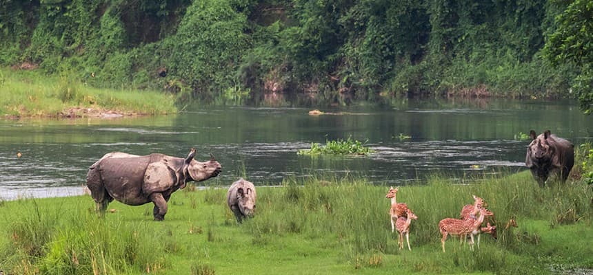Why Nepal Golden Triangle Tour is the Best Travel Experience in Nepal