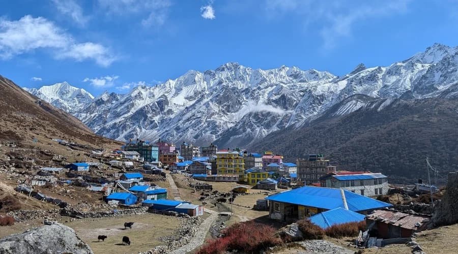 Why Langtang Valley Trek Should Be Your Next Nepal Adventure?