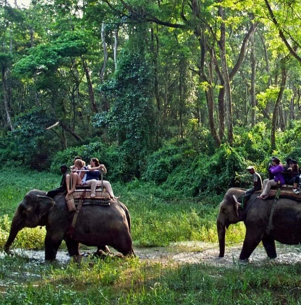 Bardiya Jungle Safari Tour