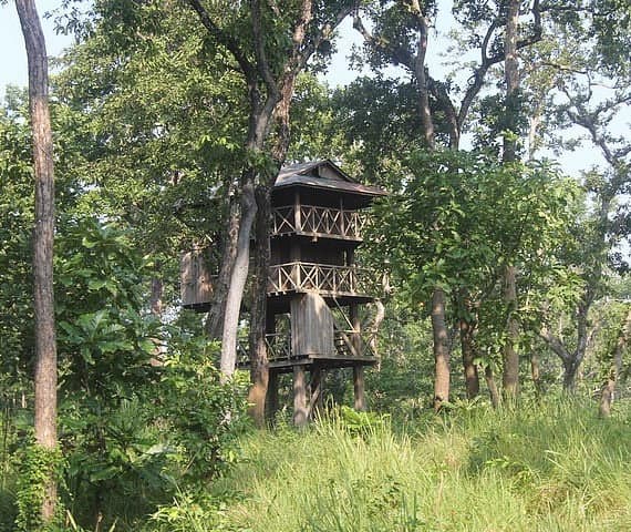 City Lights to Jungle Nights: Nepal Golden Triangle Tour