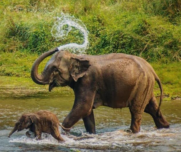 A Dream Journey: Nepal Golden Triangle Tour Explained